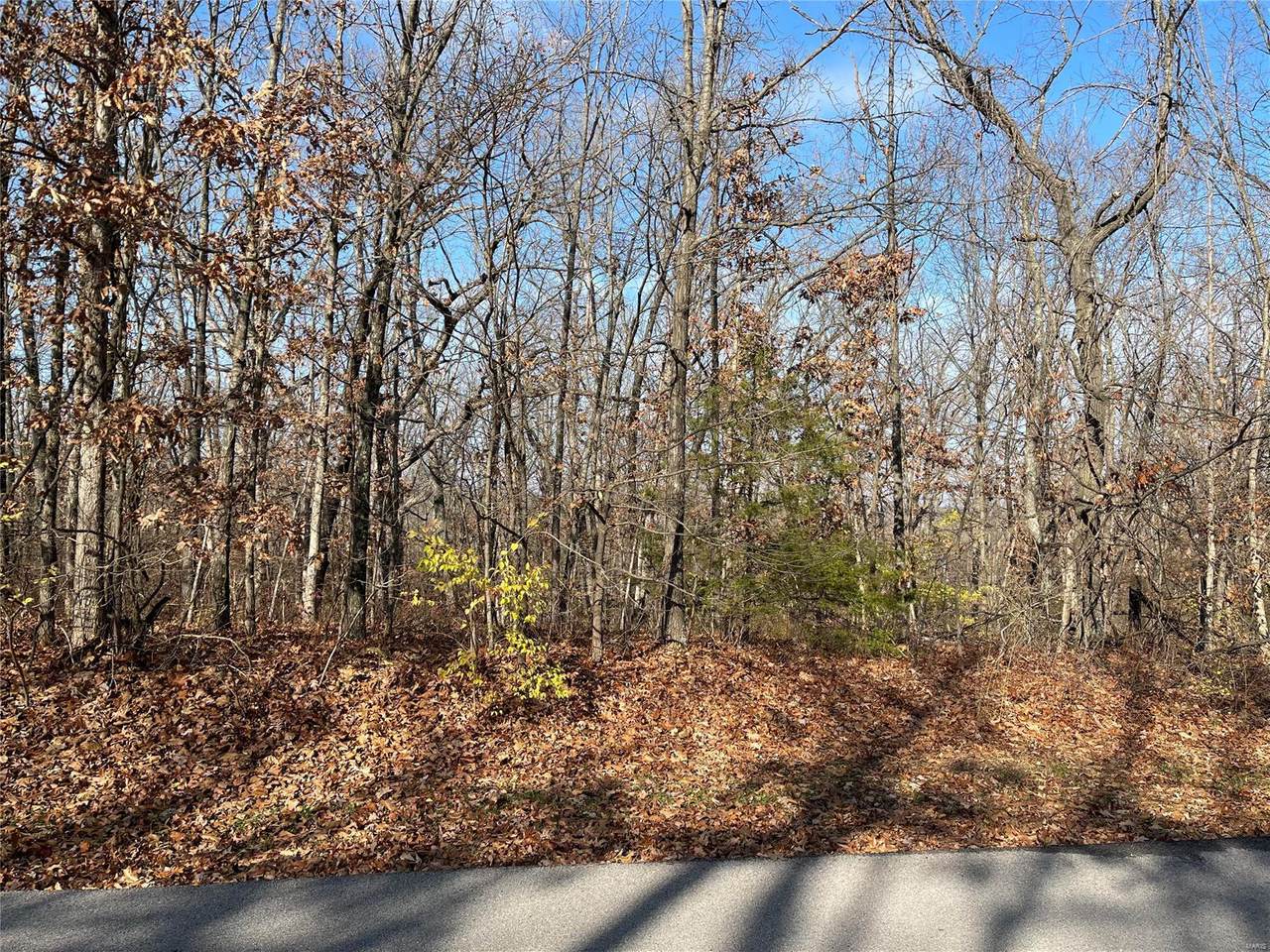 175 Red Hawk Ridge - Photo 1