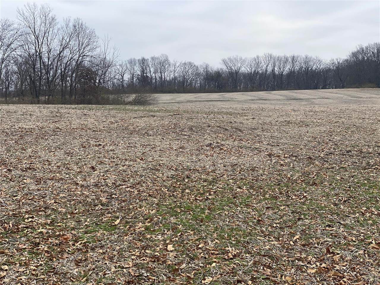 0 Elm Tree Road - Photo 1