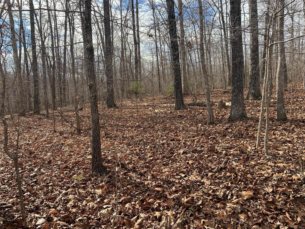0 County Road 305 - Photo 1