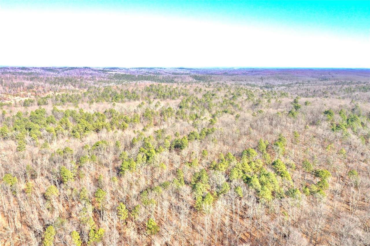 320 Pelican Ridge Road - Photo 1