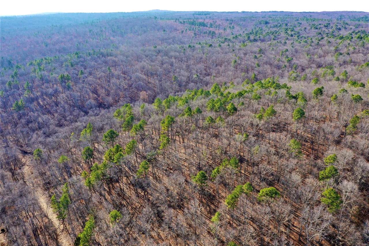 260 Pelican Ridge Road - Photo 1