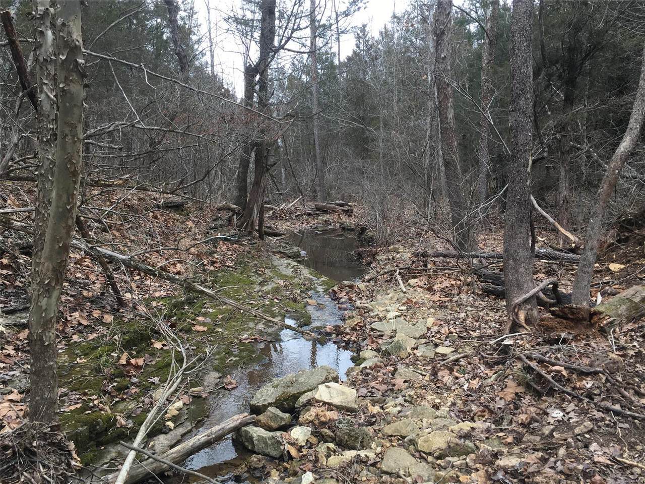 15 Mammoth Road - Photo 1