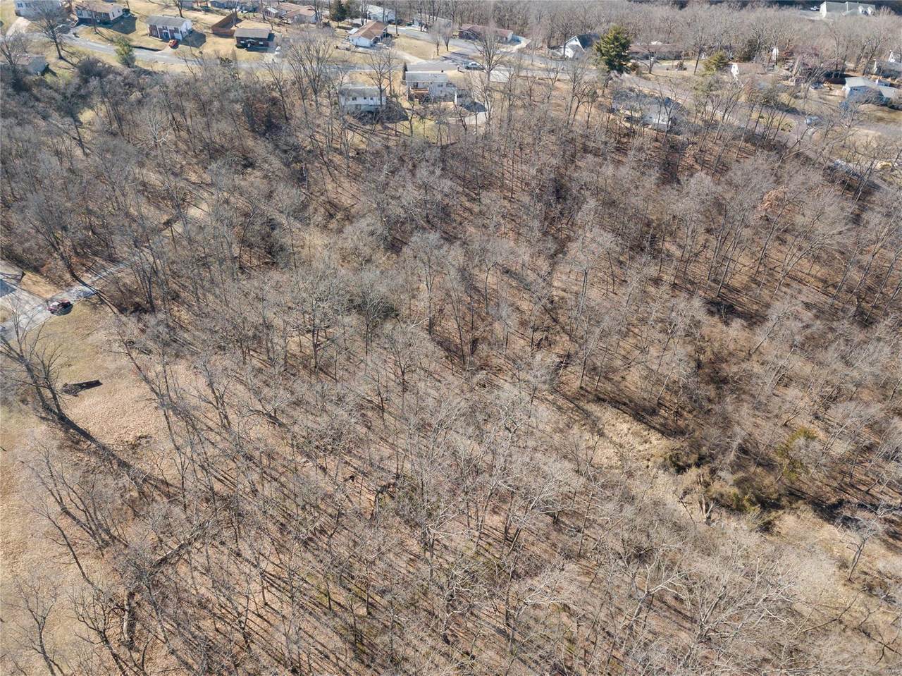 1 Butternut- Lot 57 - Photo 1