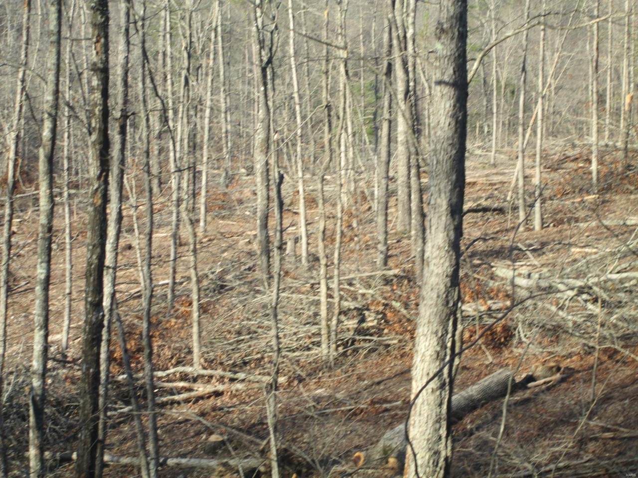 68 Pine Meadow Trail - Photo 1