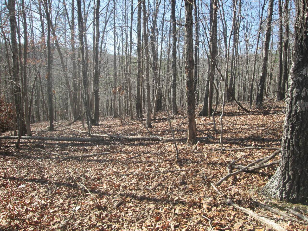 143 Ridge Crest Trail - Photo 1