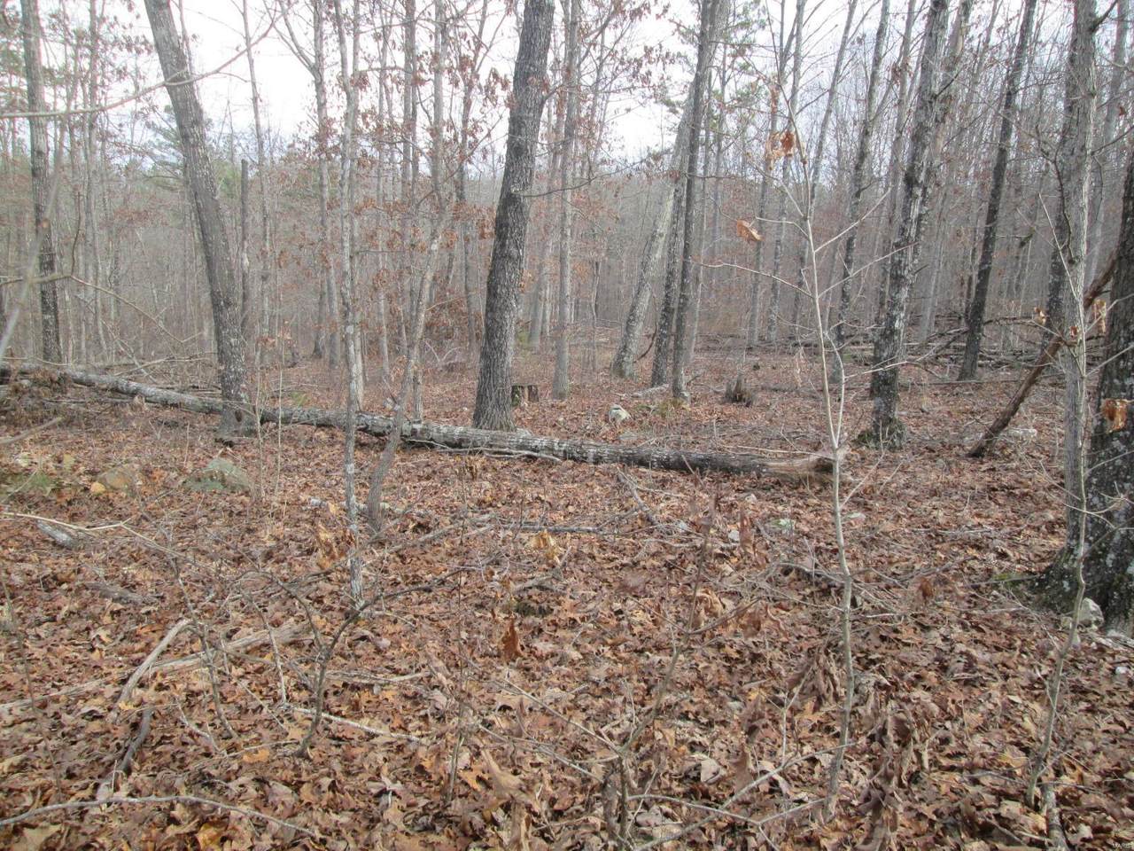 140 Sage Brush Trail - Photo 1