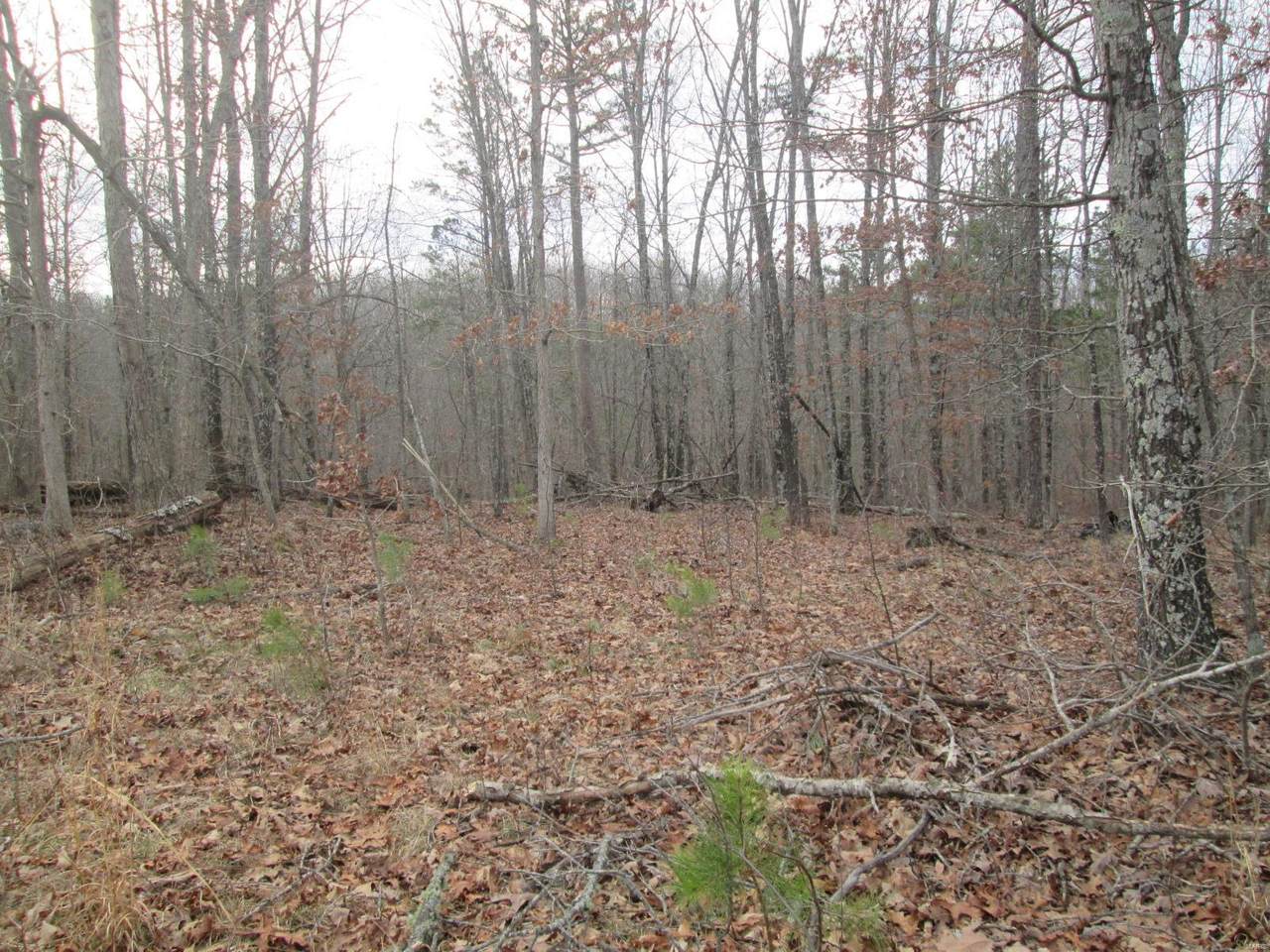 141 Percimon Trail - Photo 1