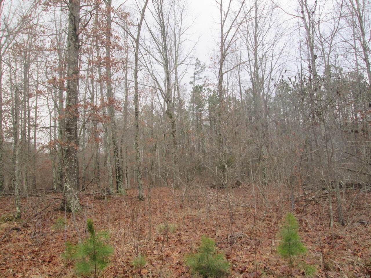 145 Sage Brush Trail - Photo 1