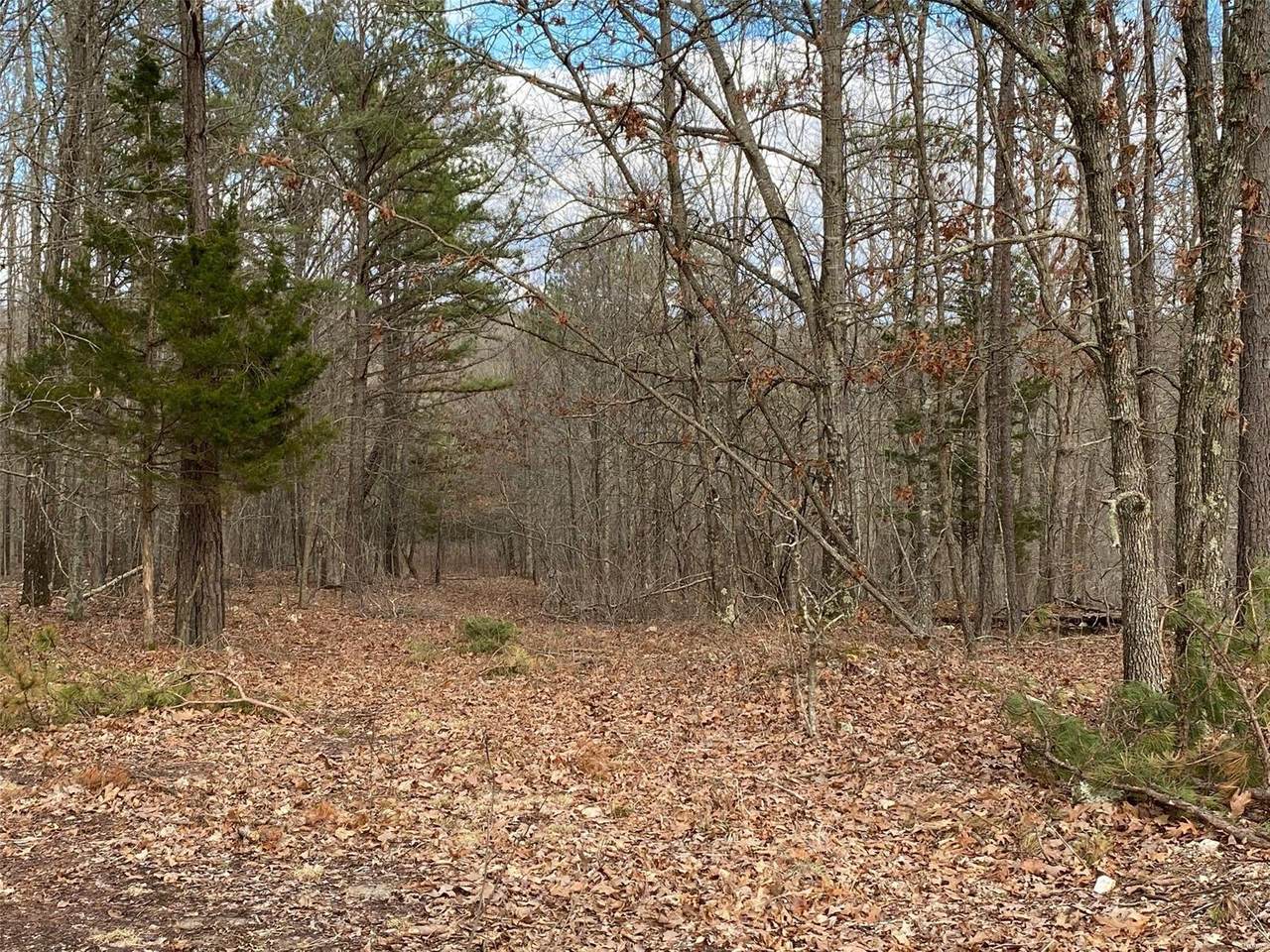 160 Pine Meadow Trail - Photo 1