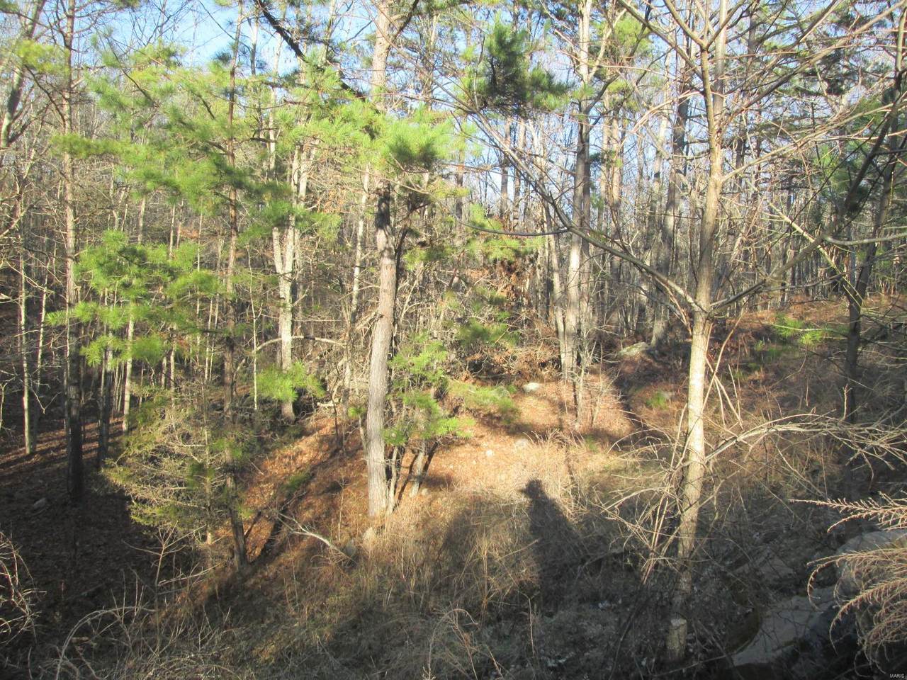 55 Golden Trail - Photo 1