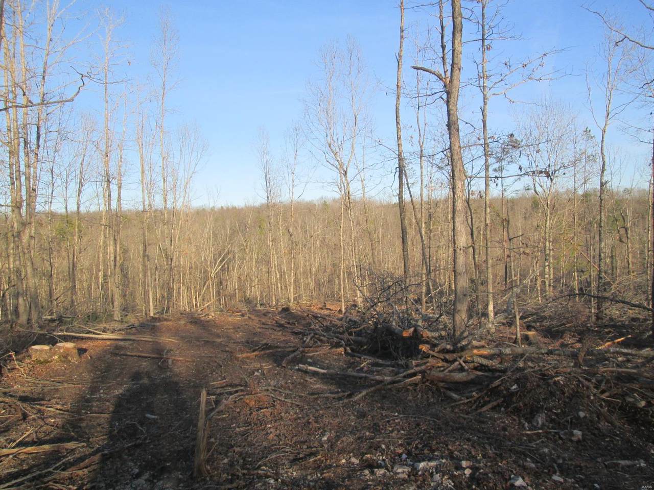 155 Pine Meadow Trail - Photo 1