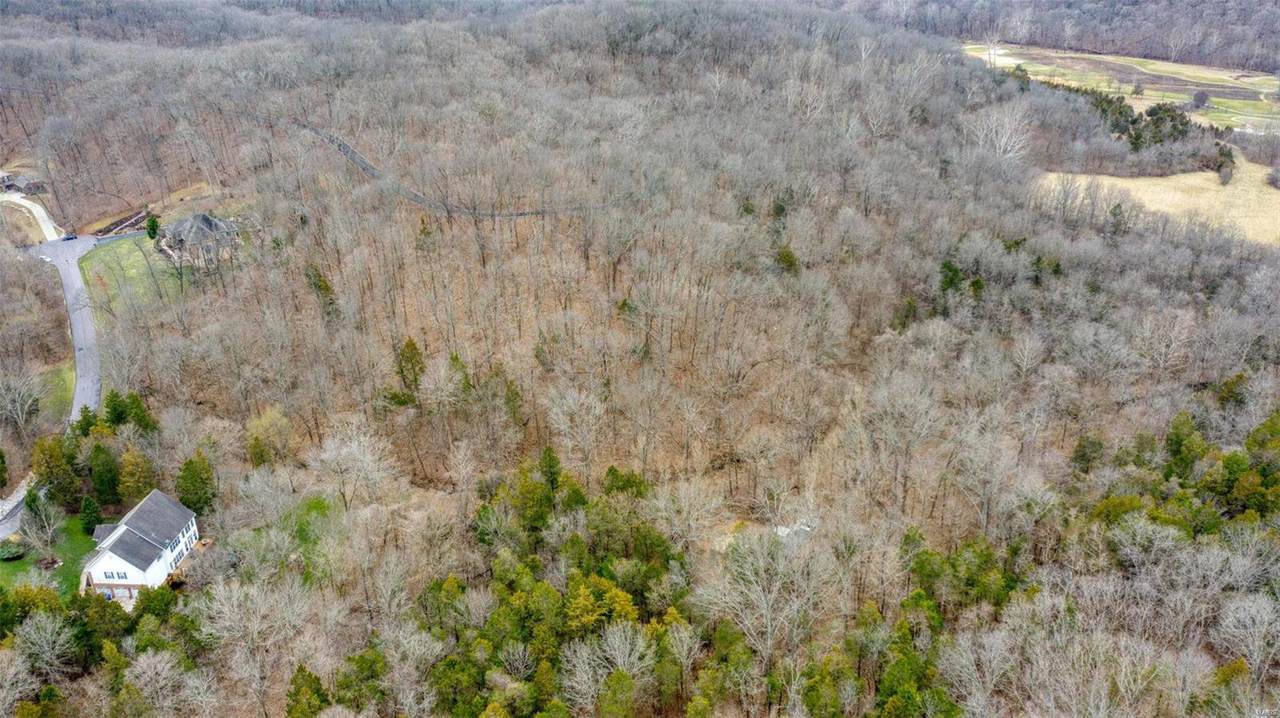 19261 Saint Albans Forest Lane - Photo 1