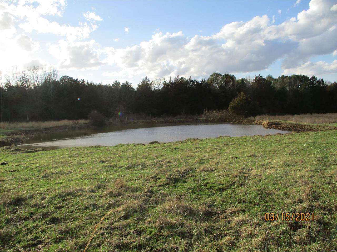 1319 Hwy Ff - Photo 1