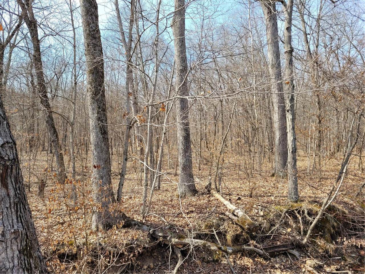 3 Parcel Daniel Boone Lake Est - Photo 1