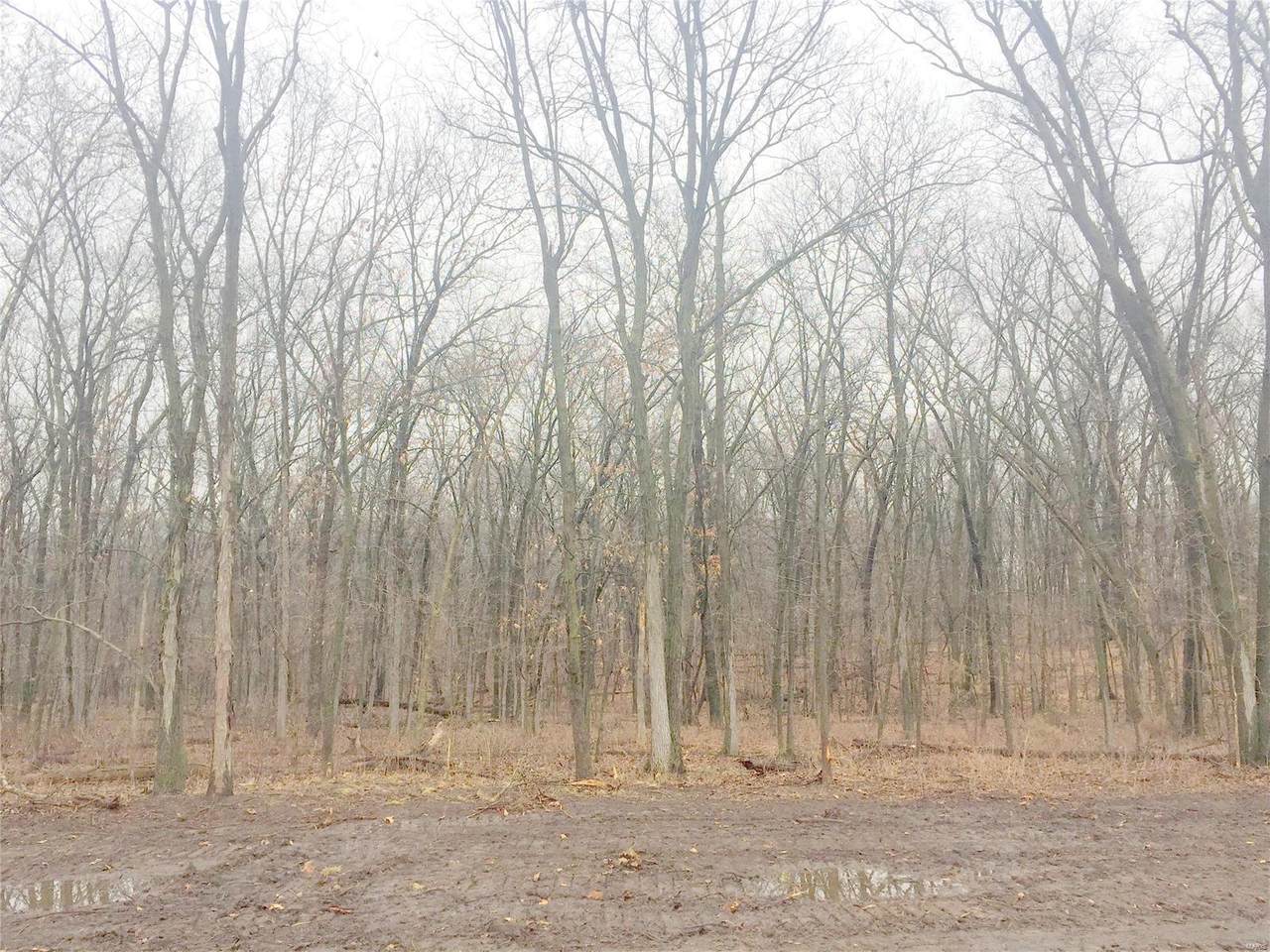 1 Marion Road 250 - Photo 1