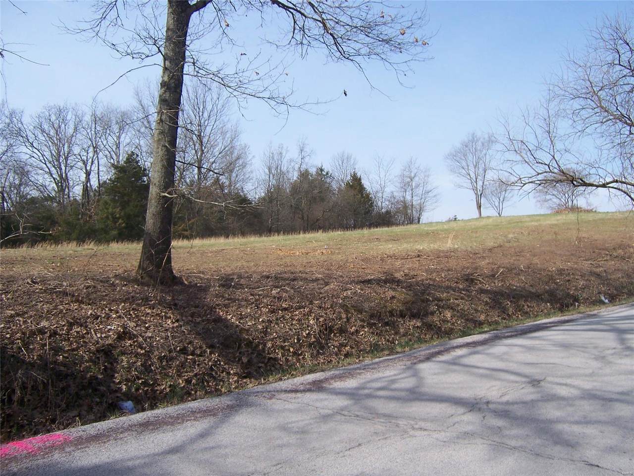 2206 Liberty Crossing Trail Road - Photo 1