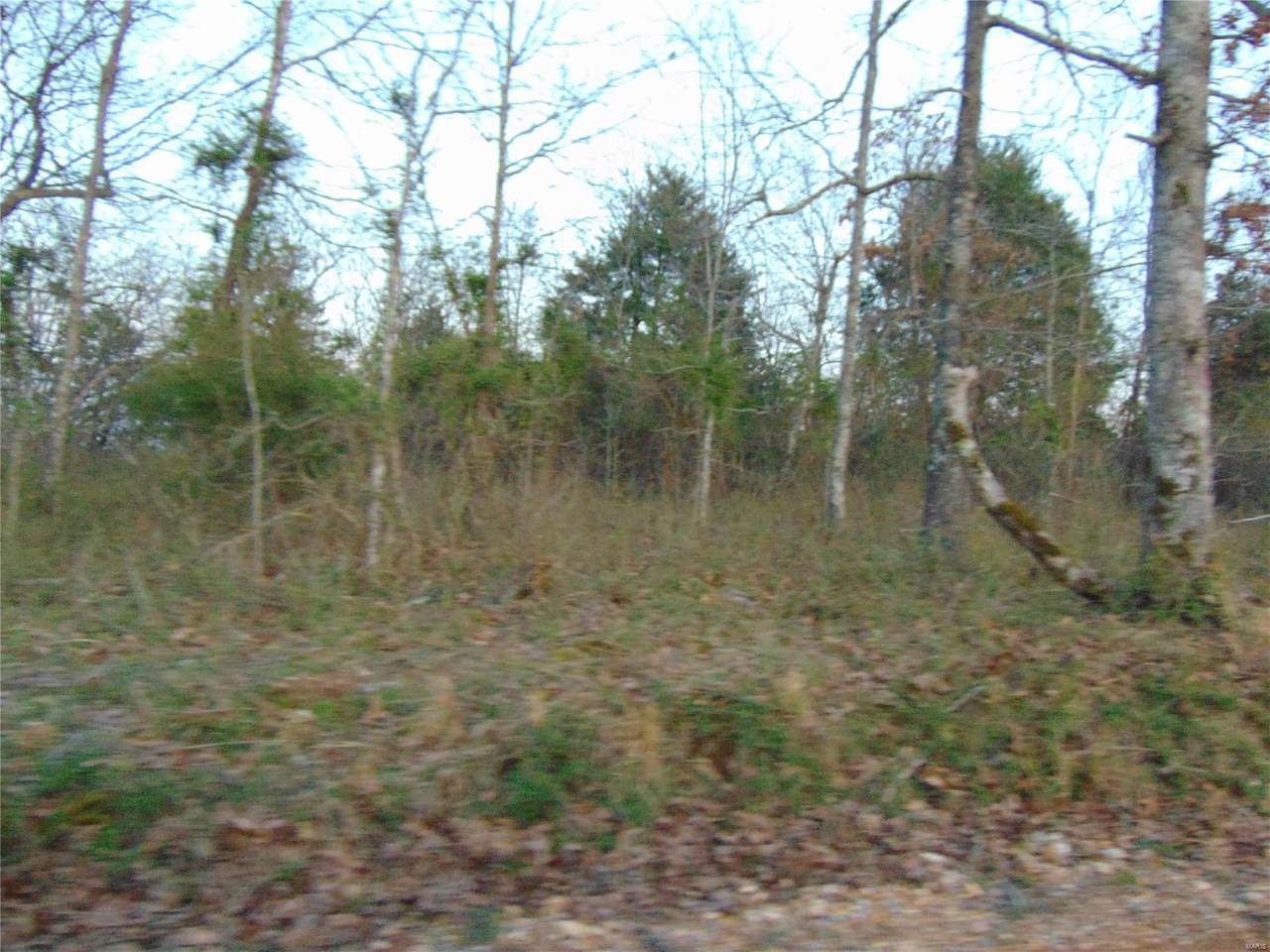 2236002 Ripley Ff1 - Photo 1