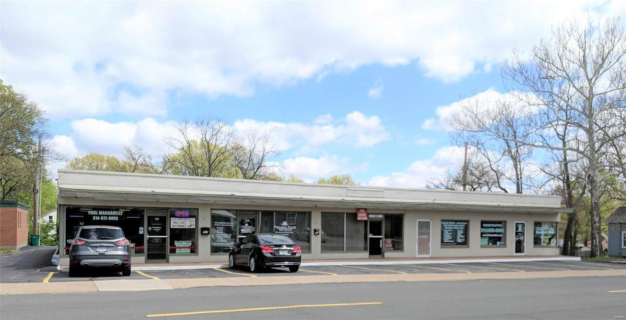 717 Rue Saint Francois Street - Photo 1