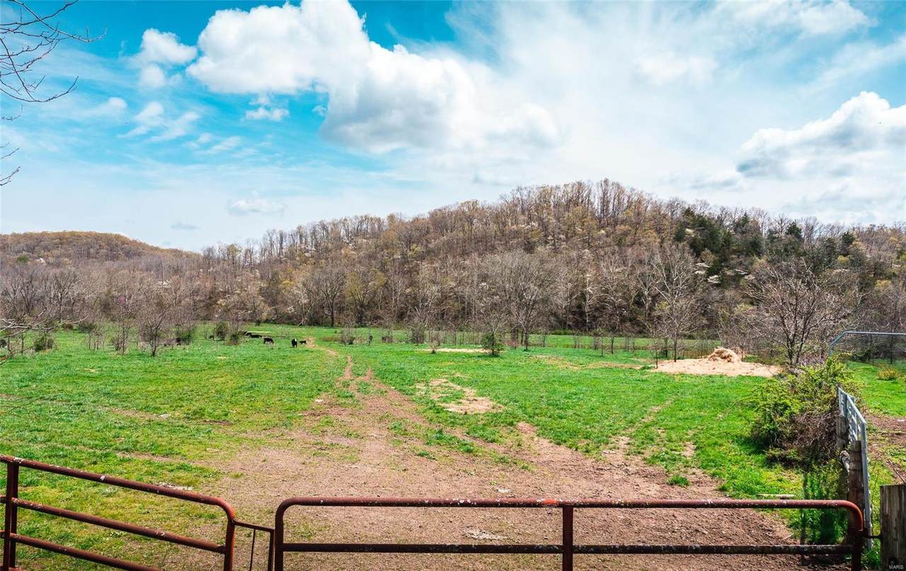 0 Creek Road - Photo 1