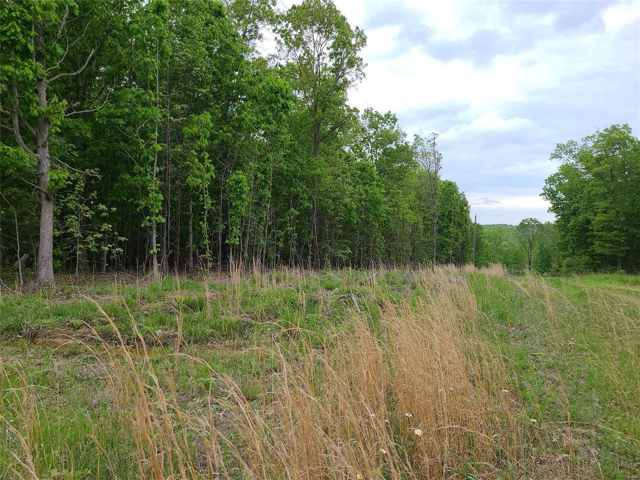 0 Pine Meadow Trail - Photo 1