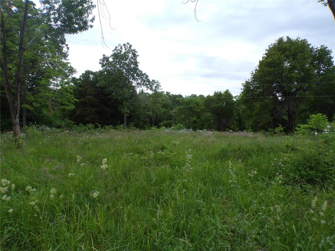 0 Cypress Road - Photo 1