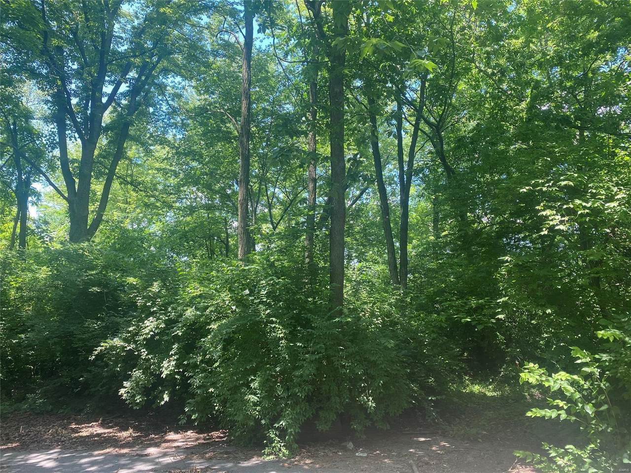 401 Spears Street - Photo 1