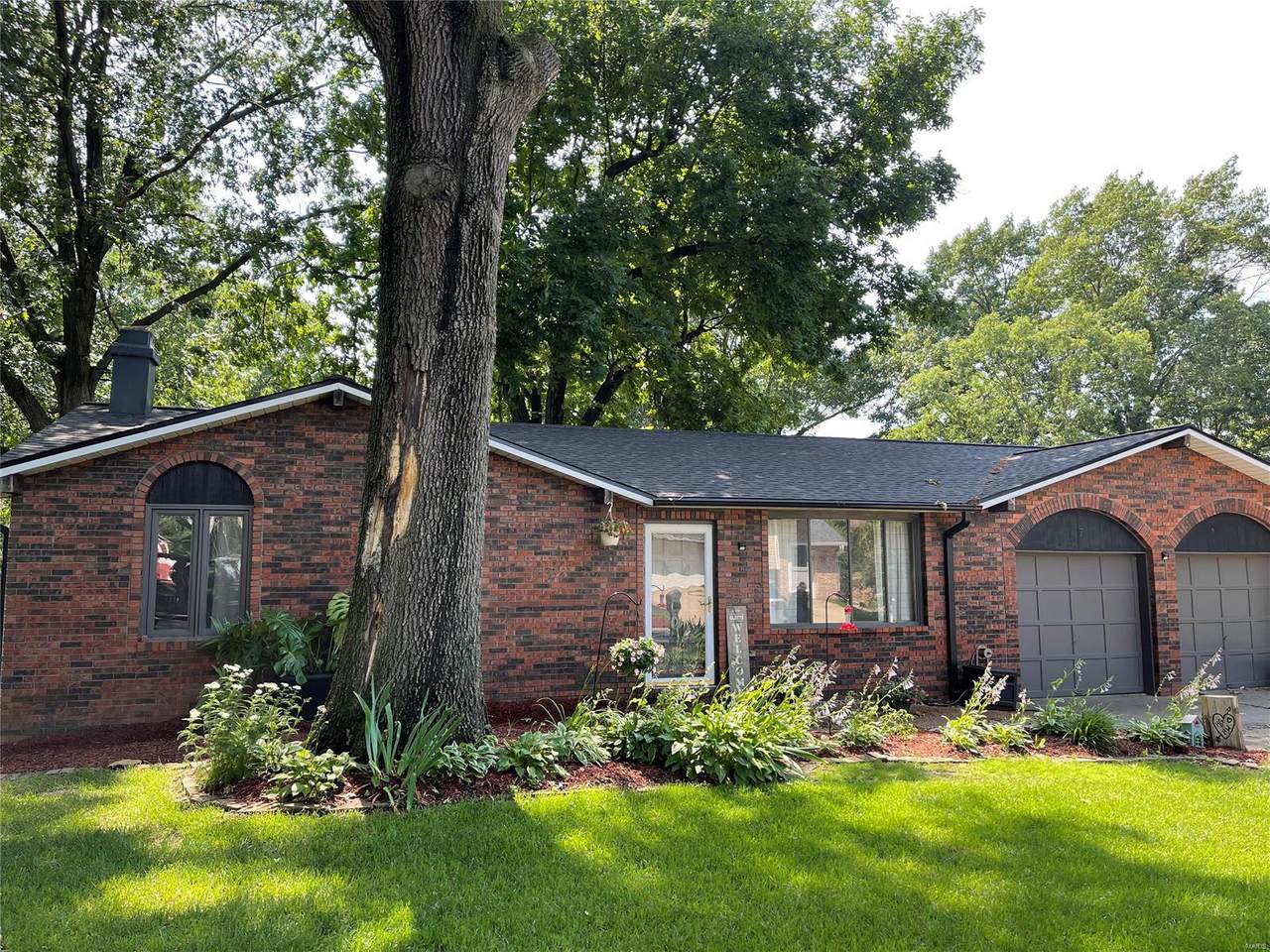 7 Beatrice Court - Photo 1
