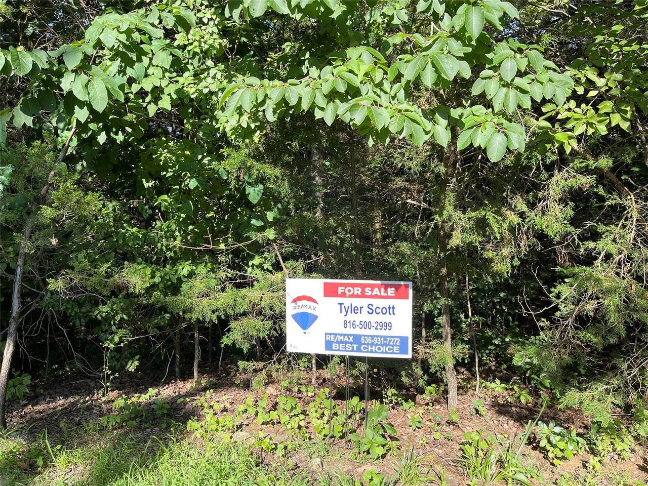 10280 Timber Hill Drive - Photo 1