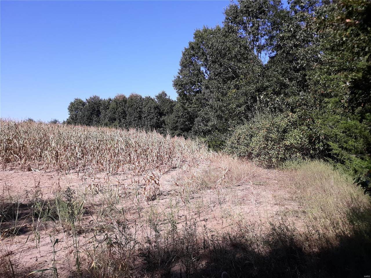 1126 County Road 1126 - Photo 1