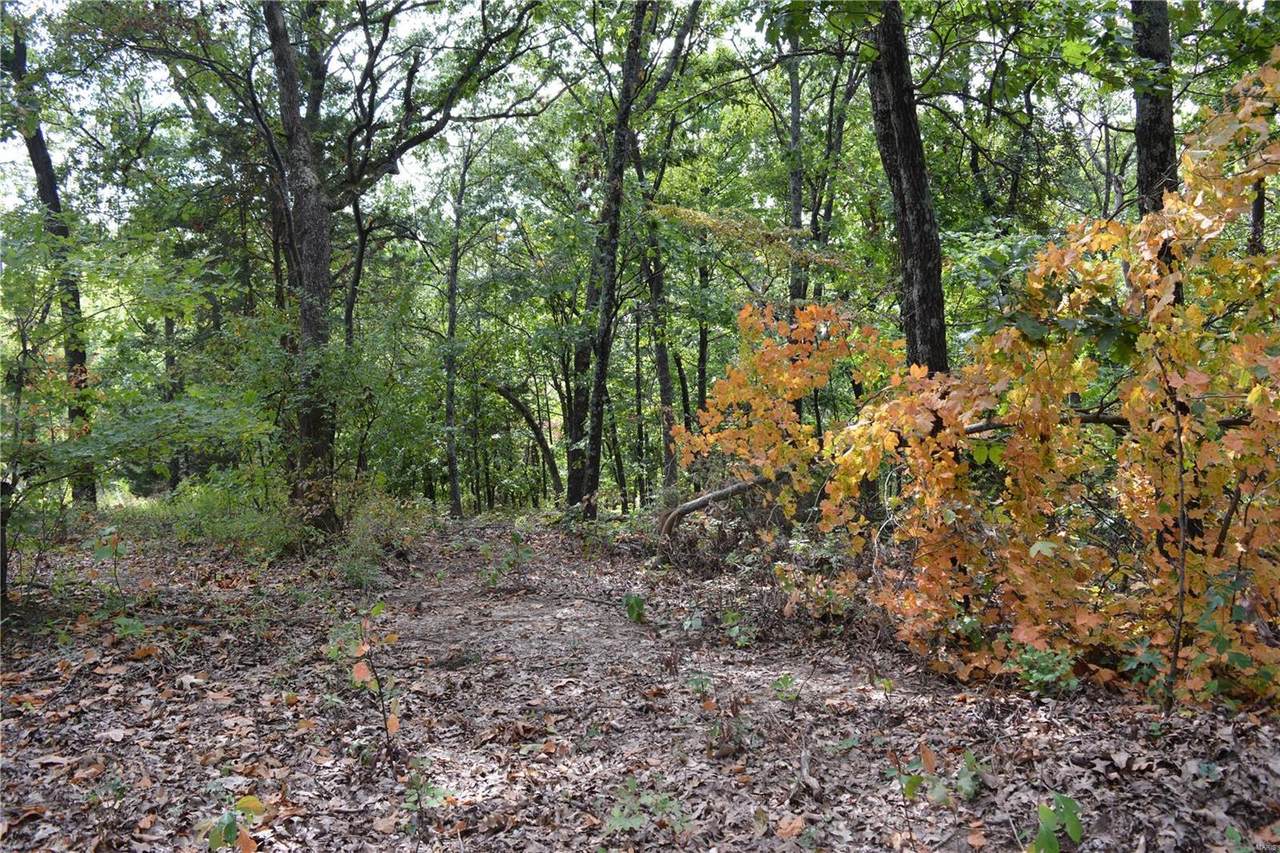 7413 Pamda Li Dr - Photo 1