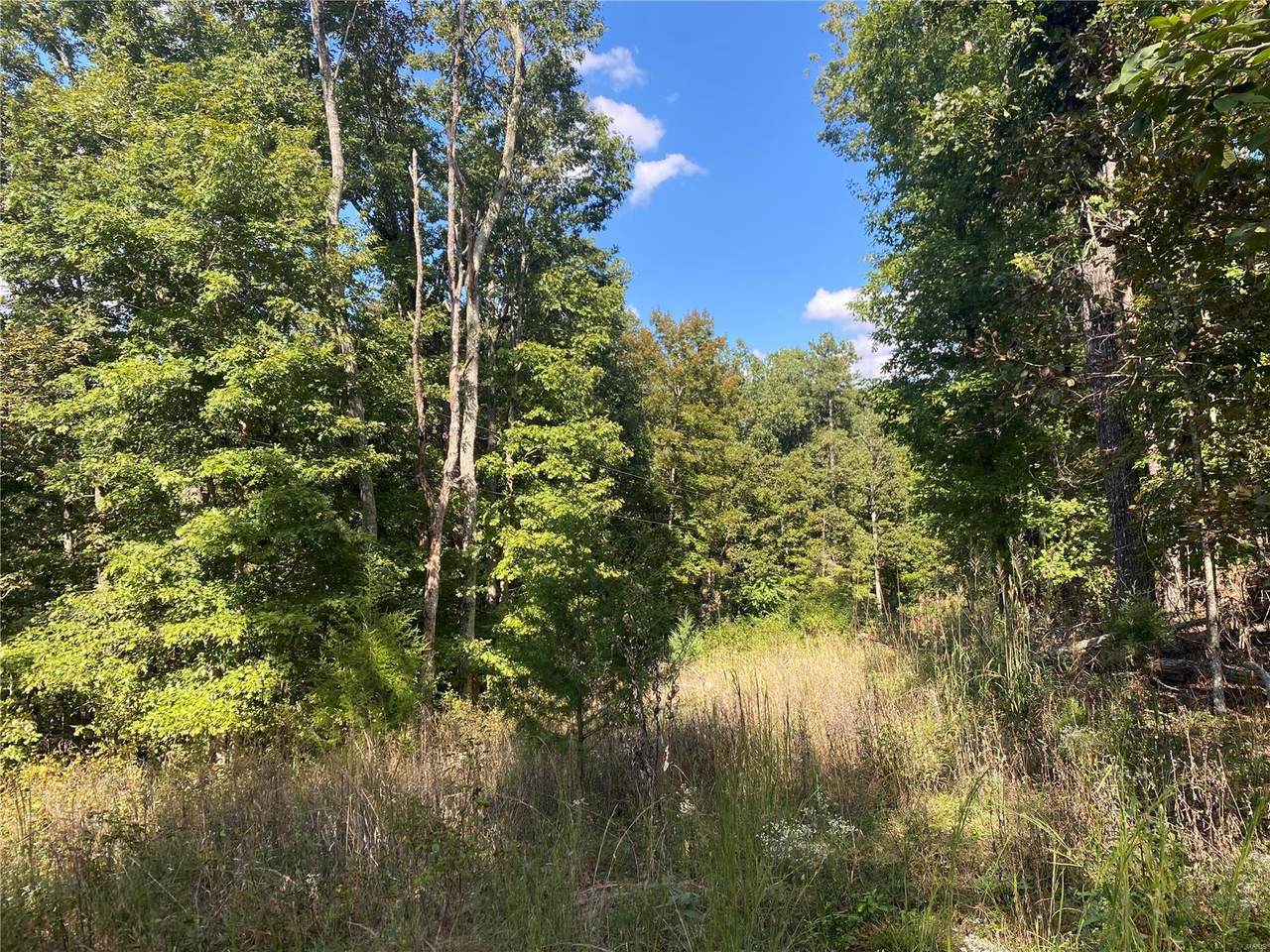 5811 Carter 125 - Photo 1