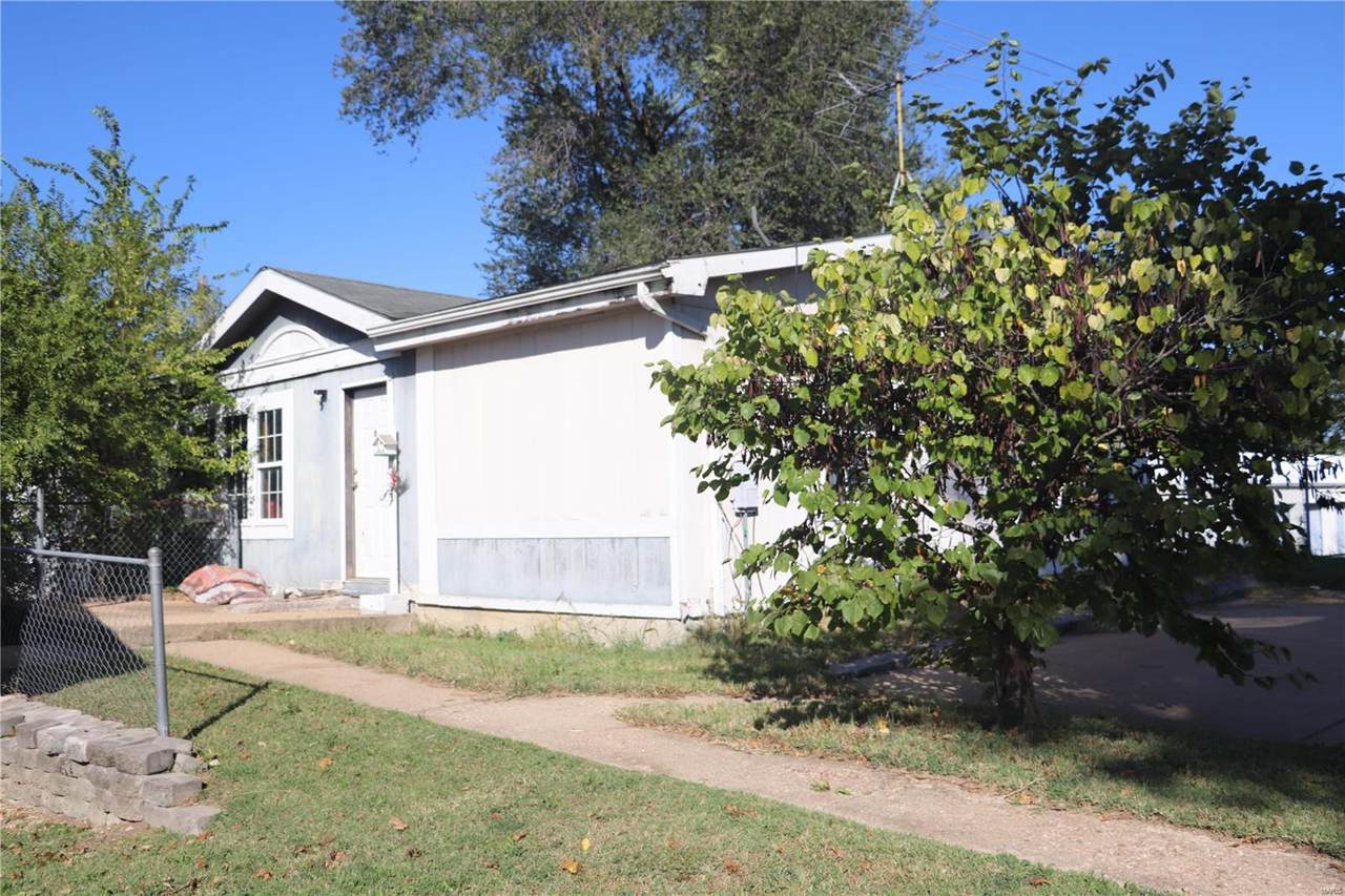 425 Baum - Photo 1