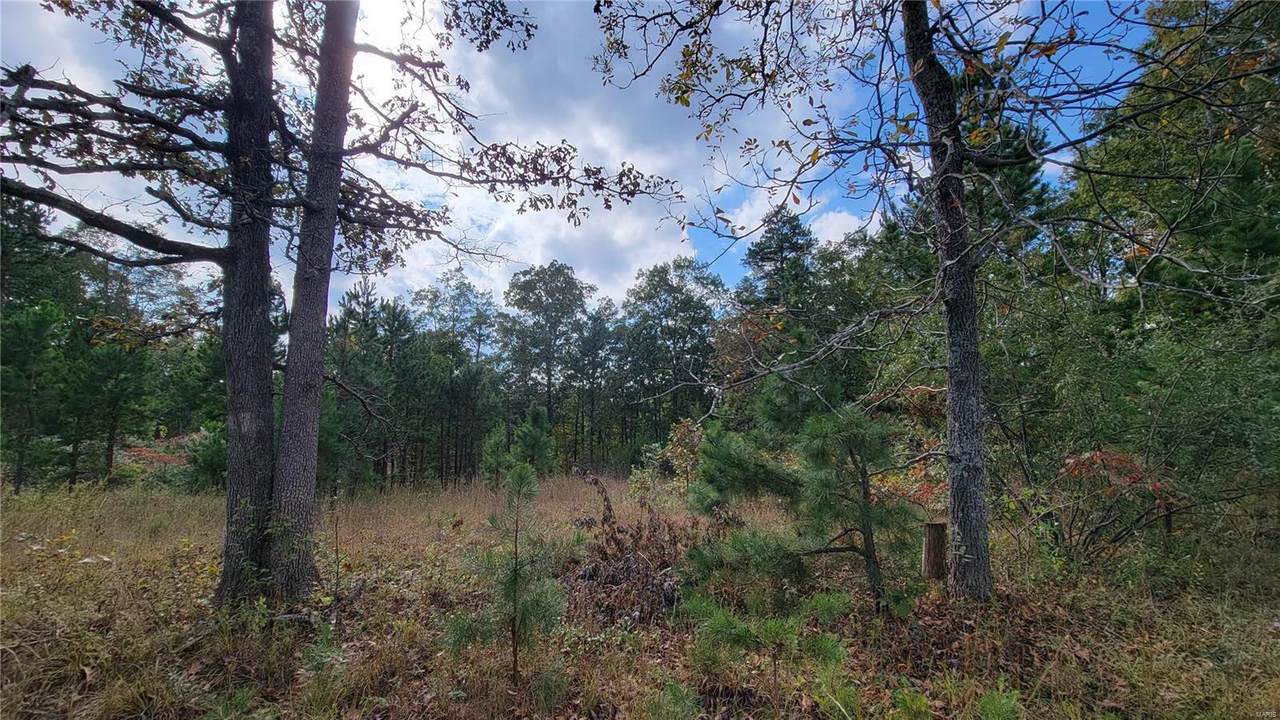 0 Off Hwy 72 - Photo 1