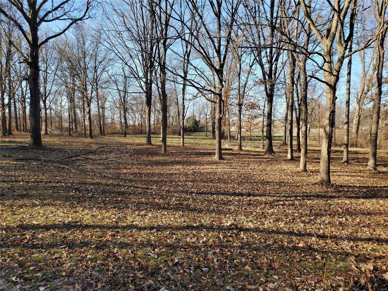 0 Irish Meadows Rd. - Photo 1