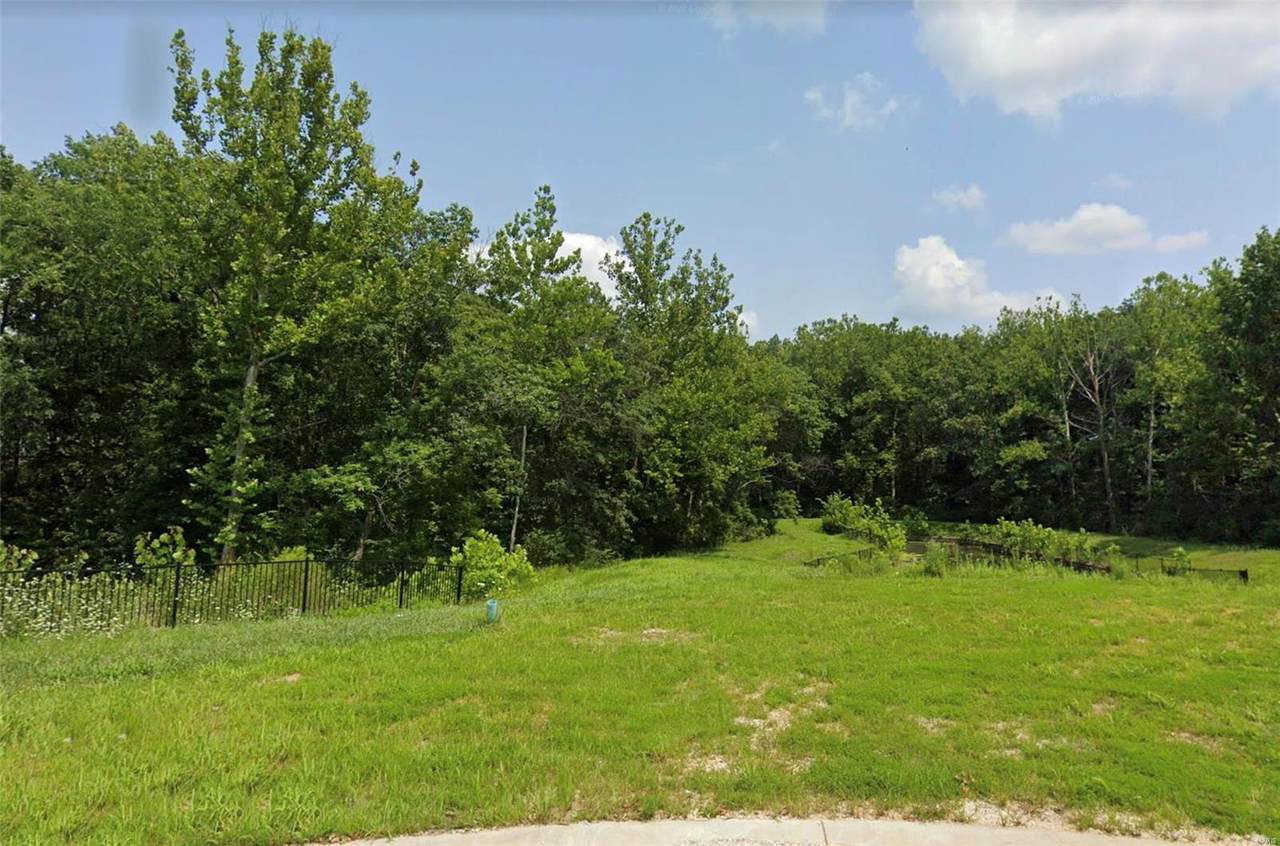0 Lot 11 Peine Valley Court - Photo 1