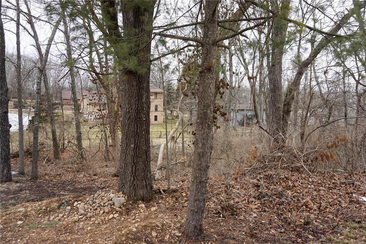 0 Cedar Hill - Photo 1