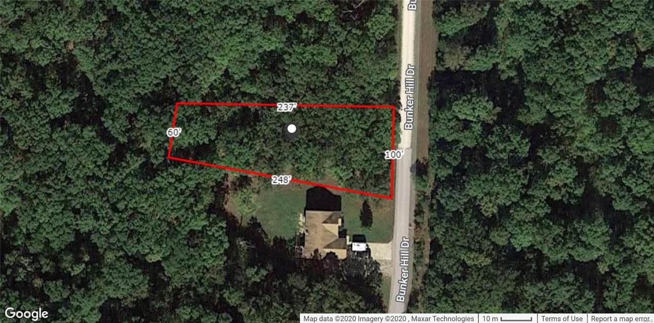 0 Bunker Hill Drive - Photo 1