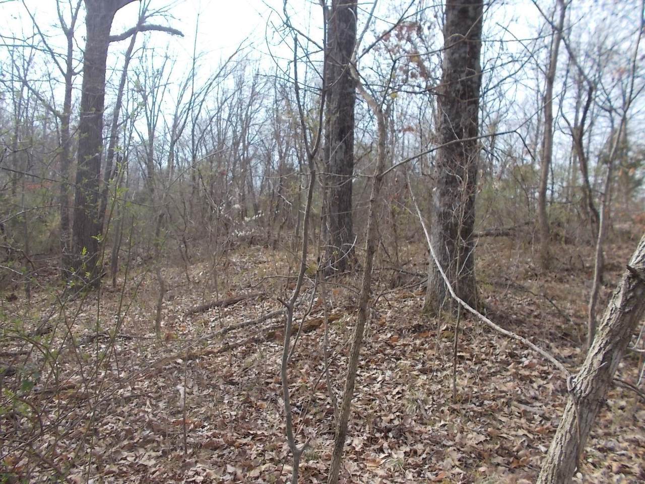 0 State Rt. 4 - Photo 1