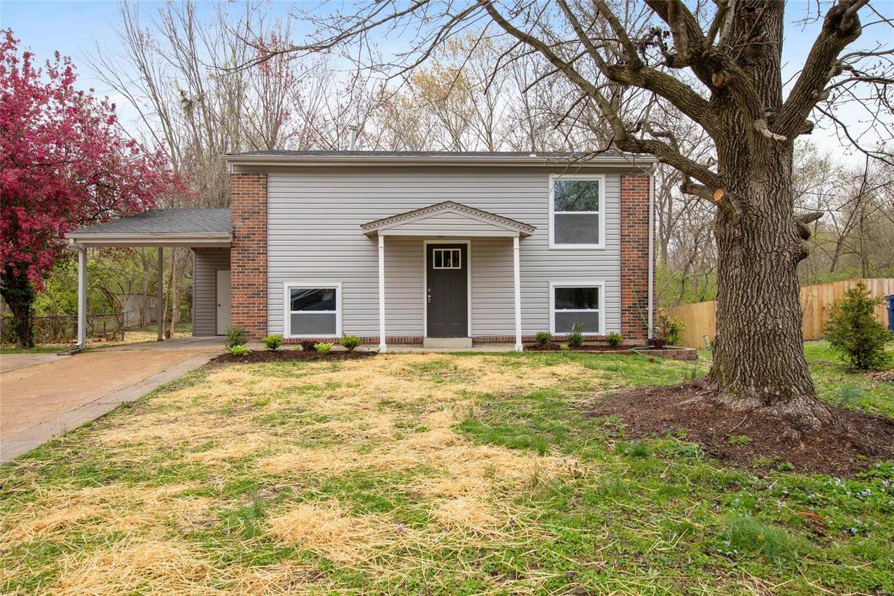 550 Keeney Drive - Photo 1