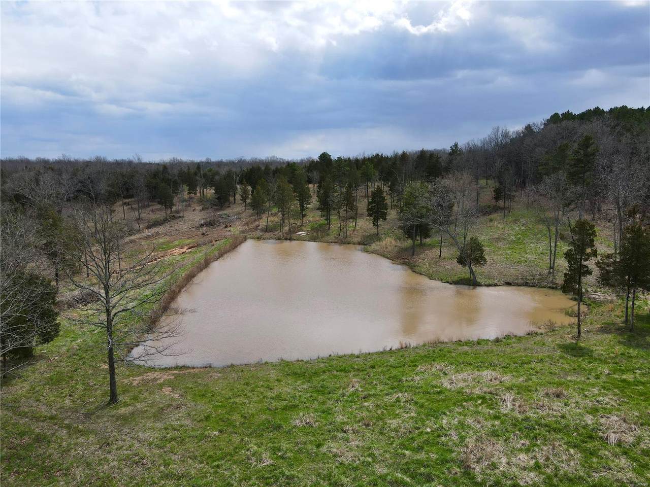 12718 Peter Moore Lane - Photo 1