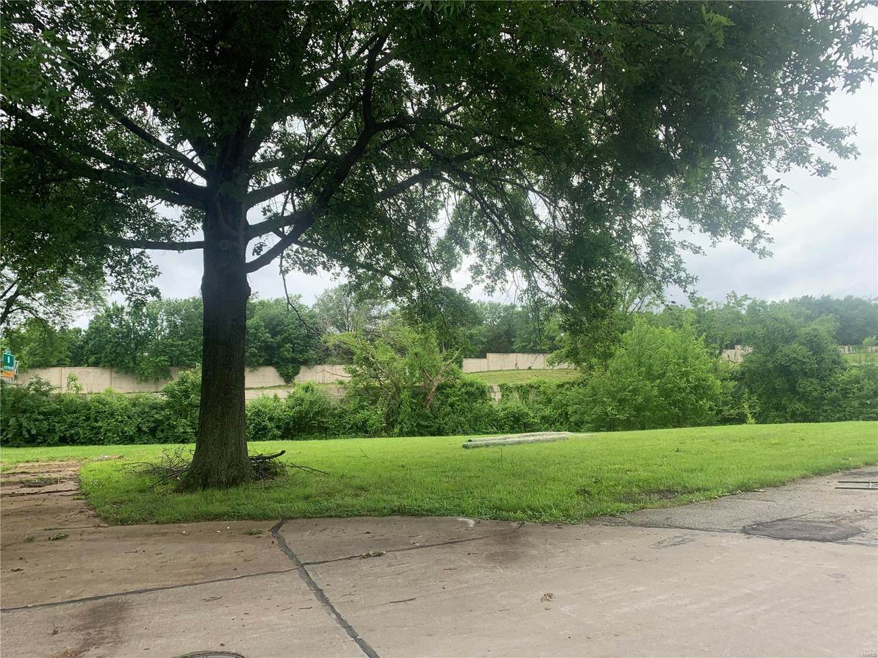 10652 Roanna Lane - Photo 1