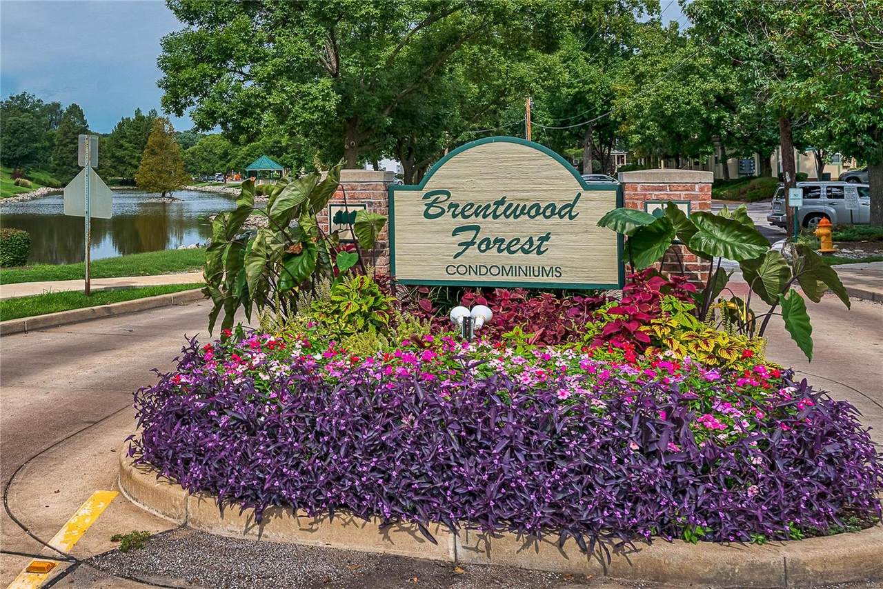 1546 Swan Circle - Photo 1