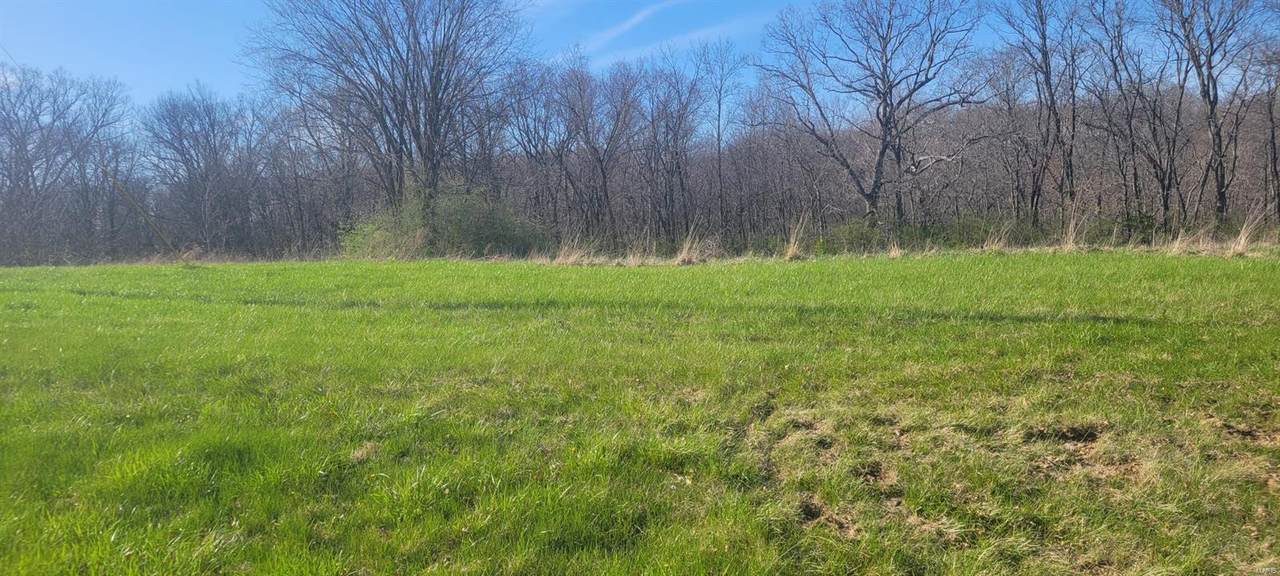 135 Cook Farm Drive - Photo 1