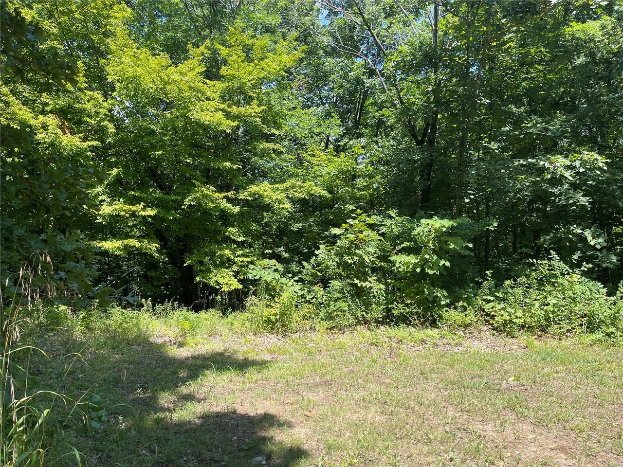 0 Hwy 51 (7Ac +/-) - Photo 1