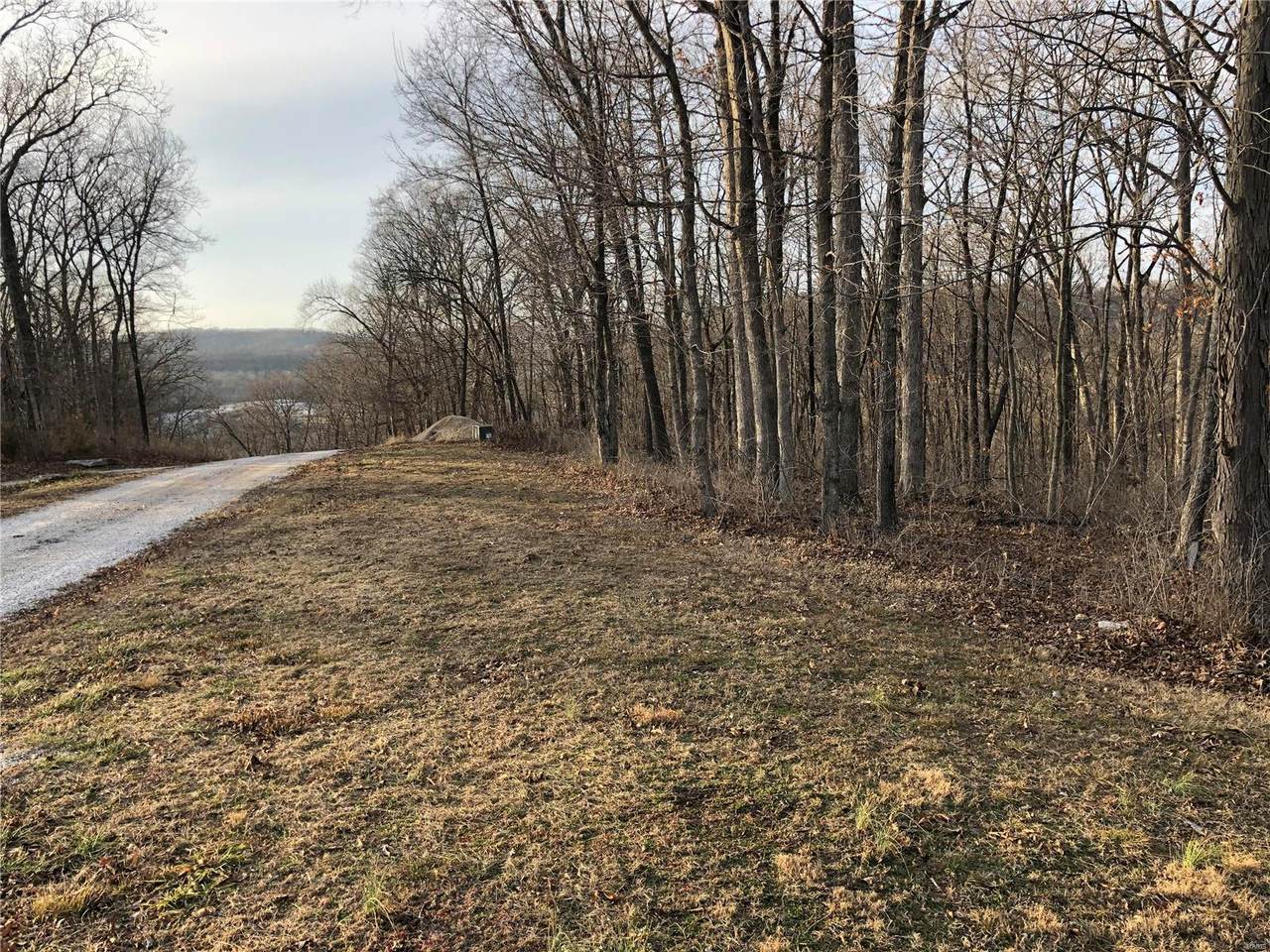 0 Sennic Forest Lots 5 & 6 - Photo 1