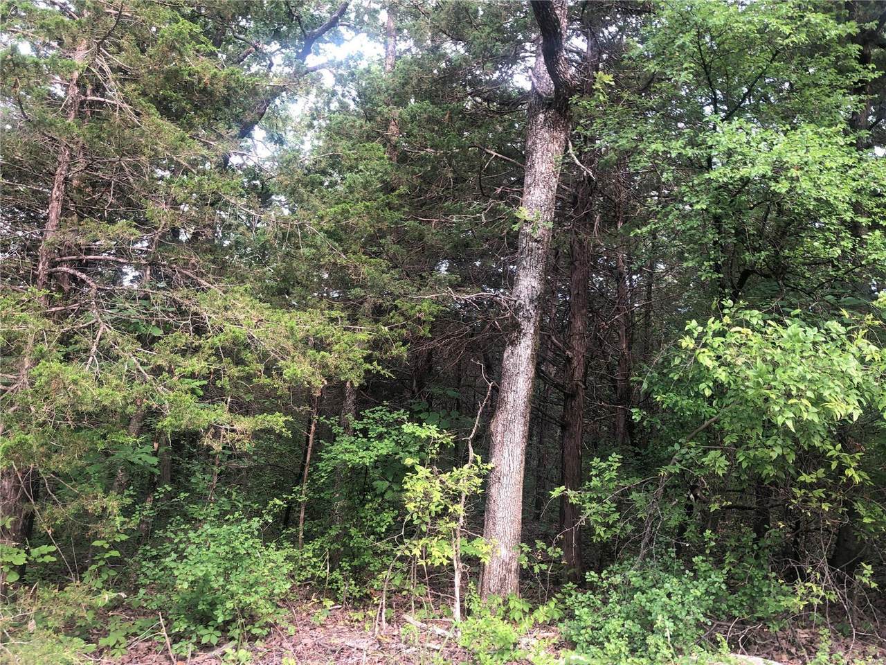171 Summer Set Sec 6 Lot 171 - Photo 1