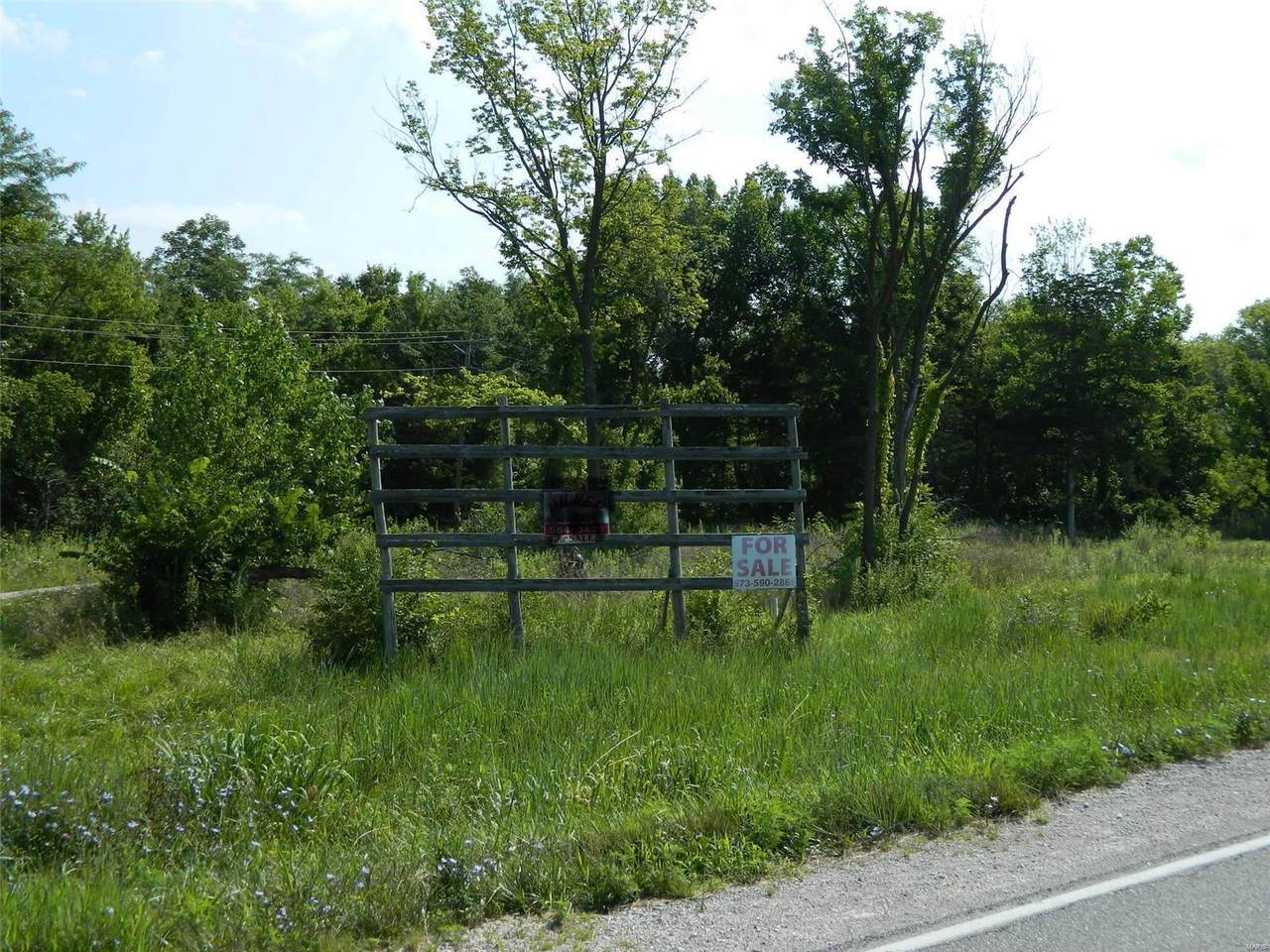 1714 Highway 161 - Photo 1