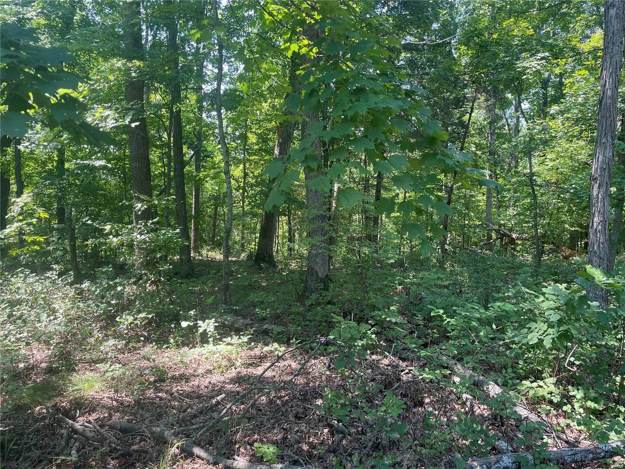 2528 Alpine Trails Drive - Photo 1