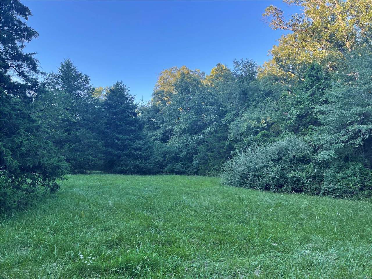 209 Foxboro Road - Photo 1