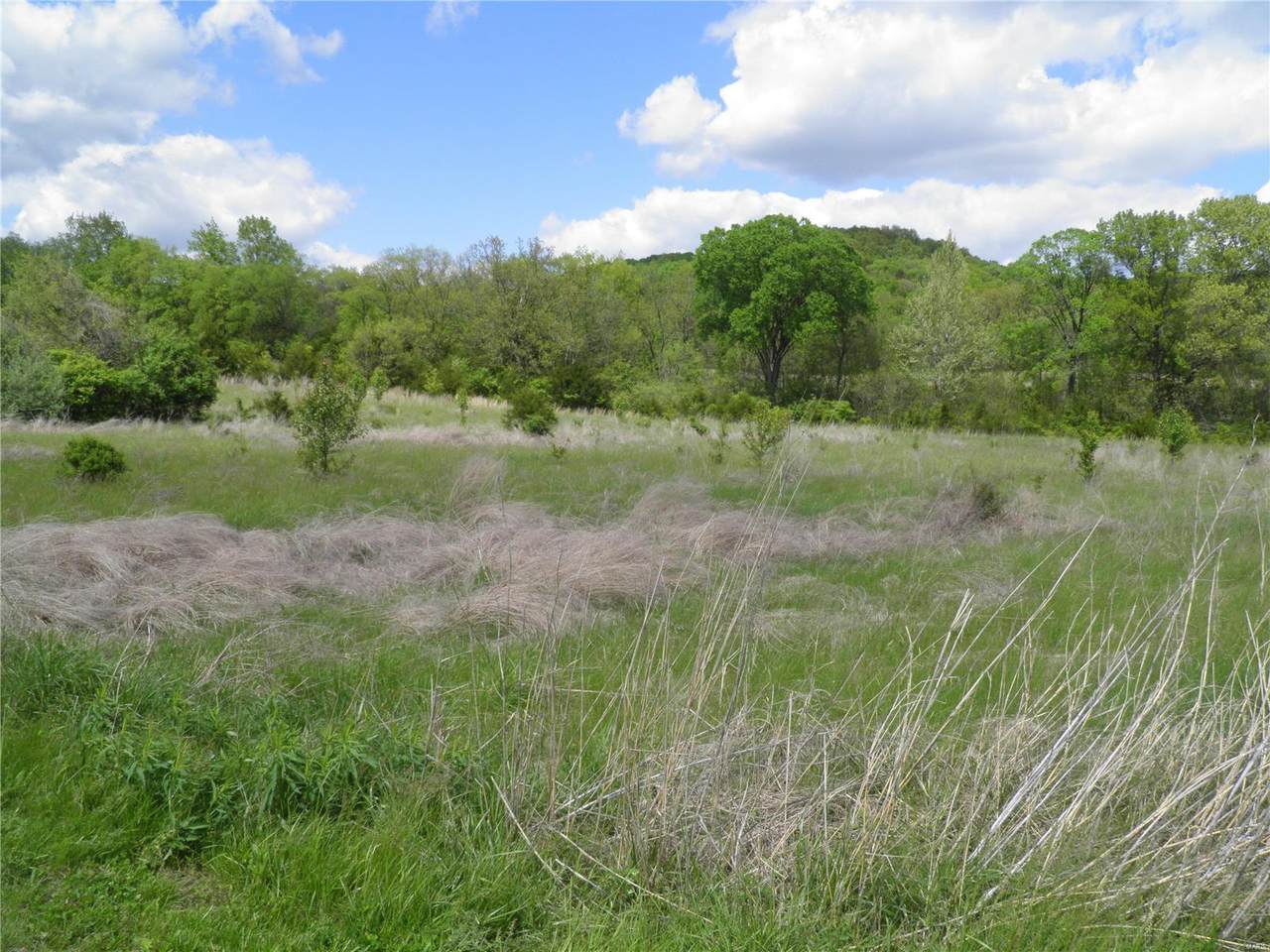 23 Dry Fork Meadows - Photo 1